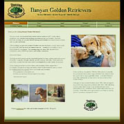 Banyan Goldens
