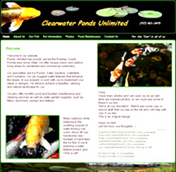 Clearwater Garden Ponds