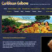 Caribbean Goldens - Breeder of Fine Golden Retievers