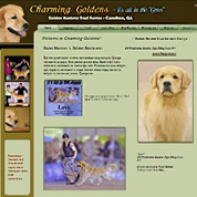 Champion Golden Retriever Stud