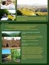 Harlan Mountain Tennessee Real Estate