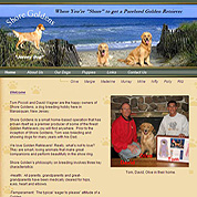 Jersey Shore Goldens