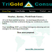 TriGold Consulting