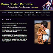 Prism Golden Retrievers